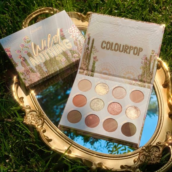 Colourpop Other - 🌟2/$30 🌵Wild Nothing Colourpop Palette🌵